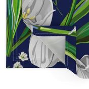 Big White Tulips + Babys Breath | Navy, Green