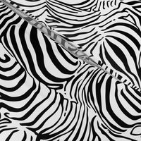 Zebra's Breach