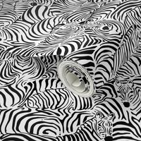 Zebra's Breach