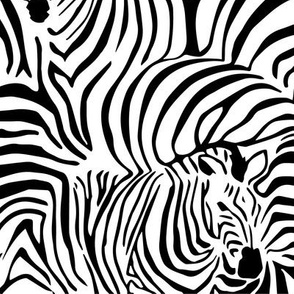 Zebra's Breach