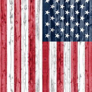 American Flag - 2 yard Minky 