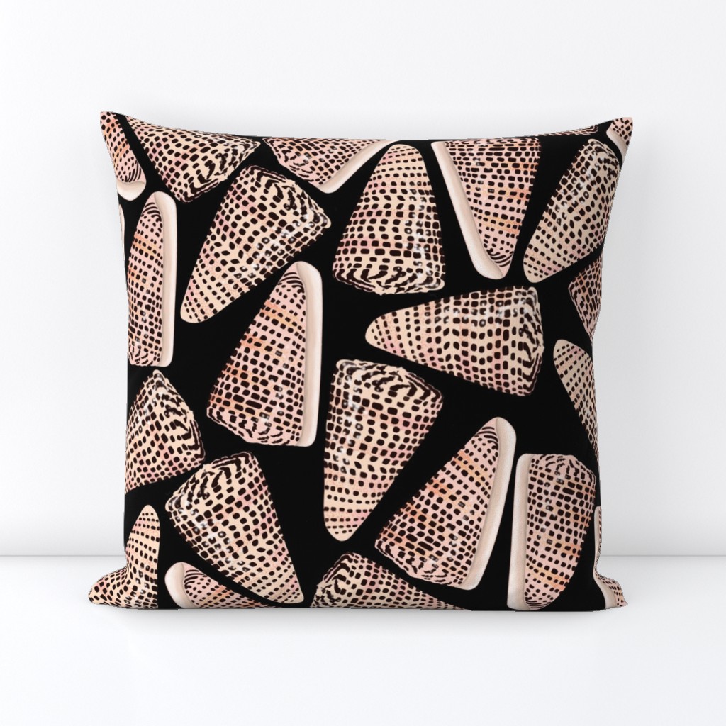 Cone Shell Black