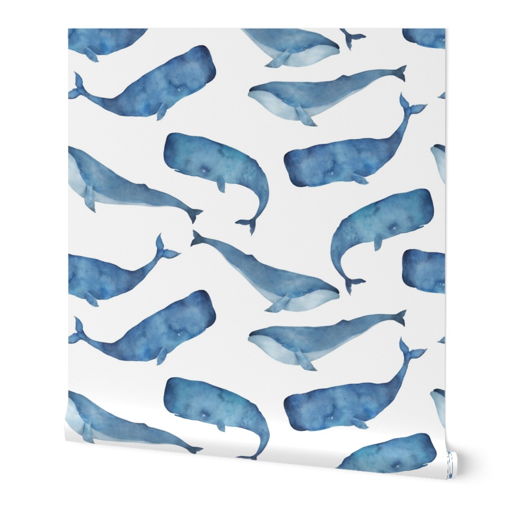 Blue Whales on White Background Boys Underwater Theme