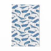 Blue Whales on White Background Boys Underwater Theme