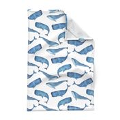 Blue Whales on White Background Boys Underwater Theme