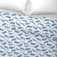 Blue Whales on White Background Boys Underwater Theme