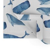 Blue Whales on White Background Boys Underwater Theme