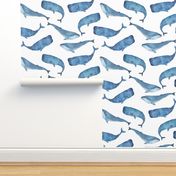 Blue Whales on White Background Boys Underwater Theme