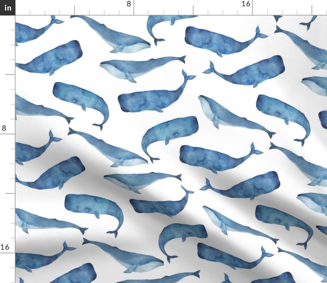 Blue Whales on White Background Boys Underwater Theme