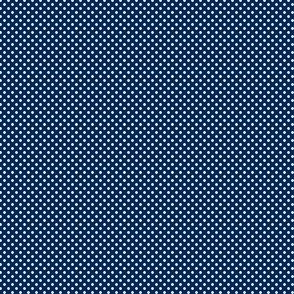 Polka Dots White On Navy Blue 1:6