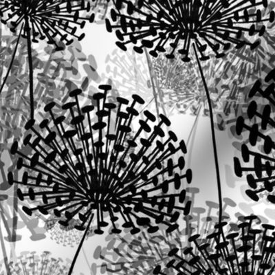 Black and White Dandelions invert