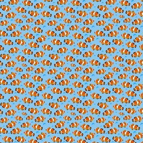 Clown Fish Scattered with bubbles