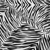 A Zebra in Shadows - Extra Large