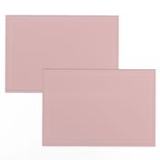 Pale Pink Solid