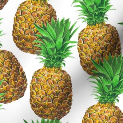 Sunny pineapples (white background version)