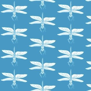 Dragonflies in Blue and White