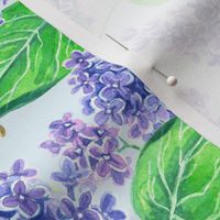 Watercolor lilac flowers