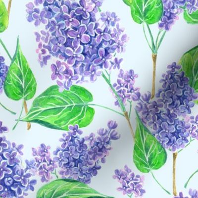 Watercolor lilac flowers