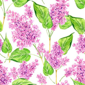 Pink watercolor lilac flowers