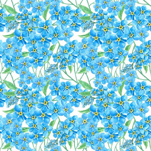 Forget me not watercolor