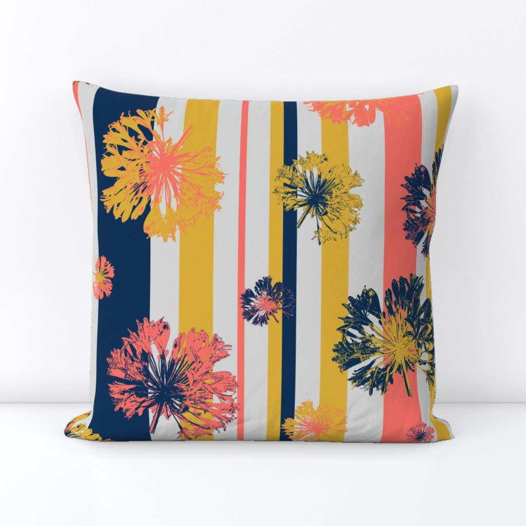 Agapanthus with stripes - coral