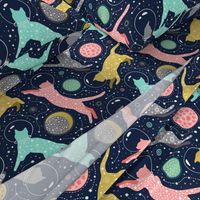 large scale / cats in space 