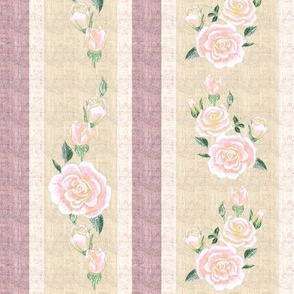 Old Fashioned Coral Pink roses on Pink and Cream Stripe