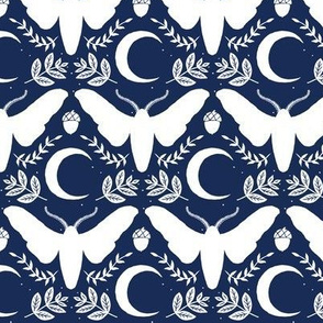 small moth and moon-navy