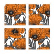 Orange poppy garden