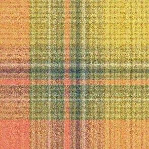 MABC Plaid 4