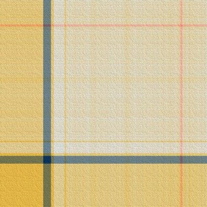 MABC Plaid 3