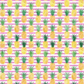 (small scale) pineapples - watercolor on pink stripes C19BS