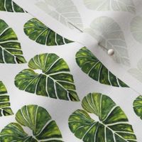 Tropical leaf watercolor