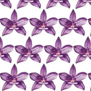 Watercolor Violet Orchid