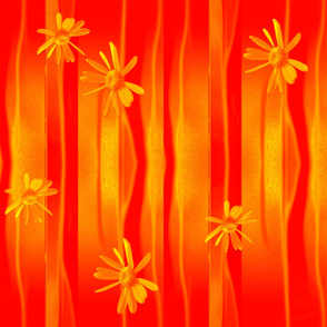 Daisies_on_orange