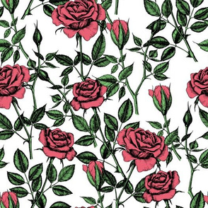 Roses pattern