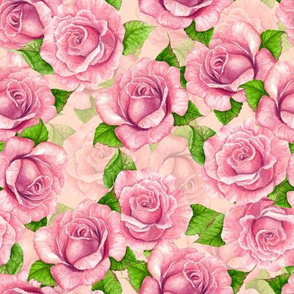 Pink watercolor roses pattern