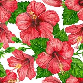 Red hibiscus watercolor pattern