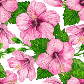 Pink hibiscus watercolor pattern