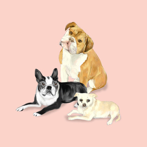 Custom Bulldog Boston Terrier and Chihuahua on light pink