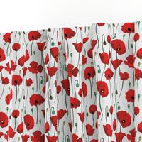 Poppy Field Blooming-white