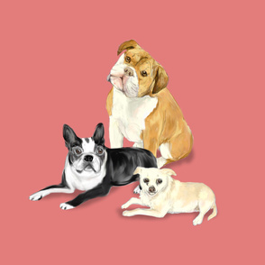 Custom Bulldog Boston Terrier and Chihuhua on Dark Pink