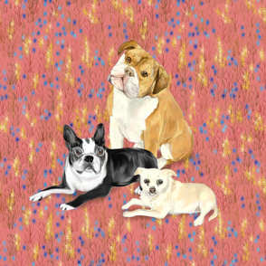Custom Bulldog Boston Terrier and Chihuhua on Dark Pink with Wildflowers