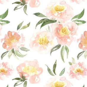 Watercolor peonies