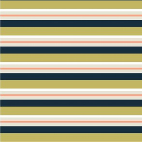 Retro Stripes Print