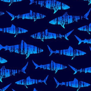 grunge tiger sharks - midnight blue