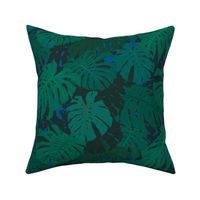 Monstera Philodendron Blue