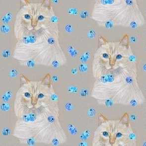 Cats with Blue Bells