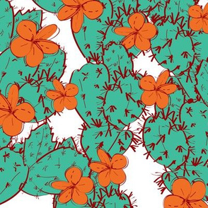 cactus  with flowers sketch green orange, contour  on white background