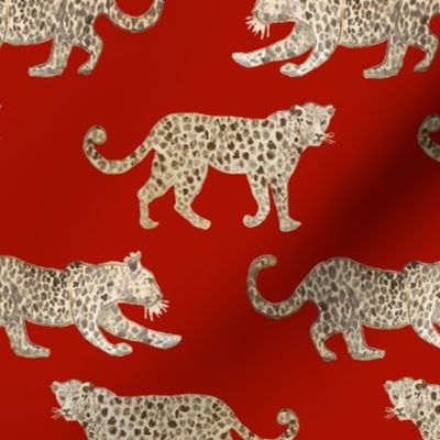 Leopard Parade red